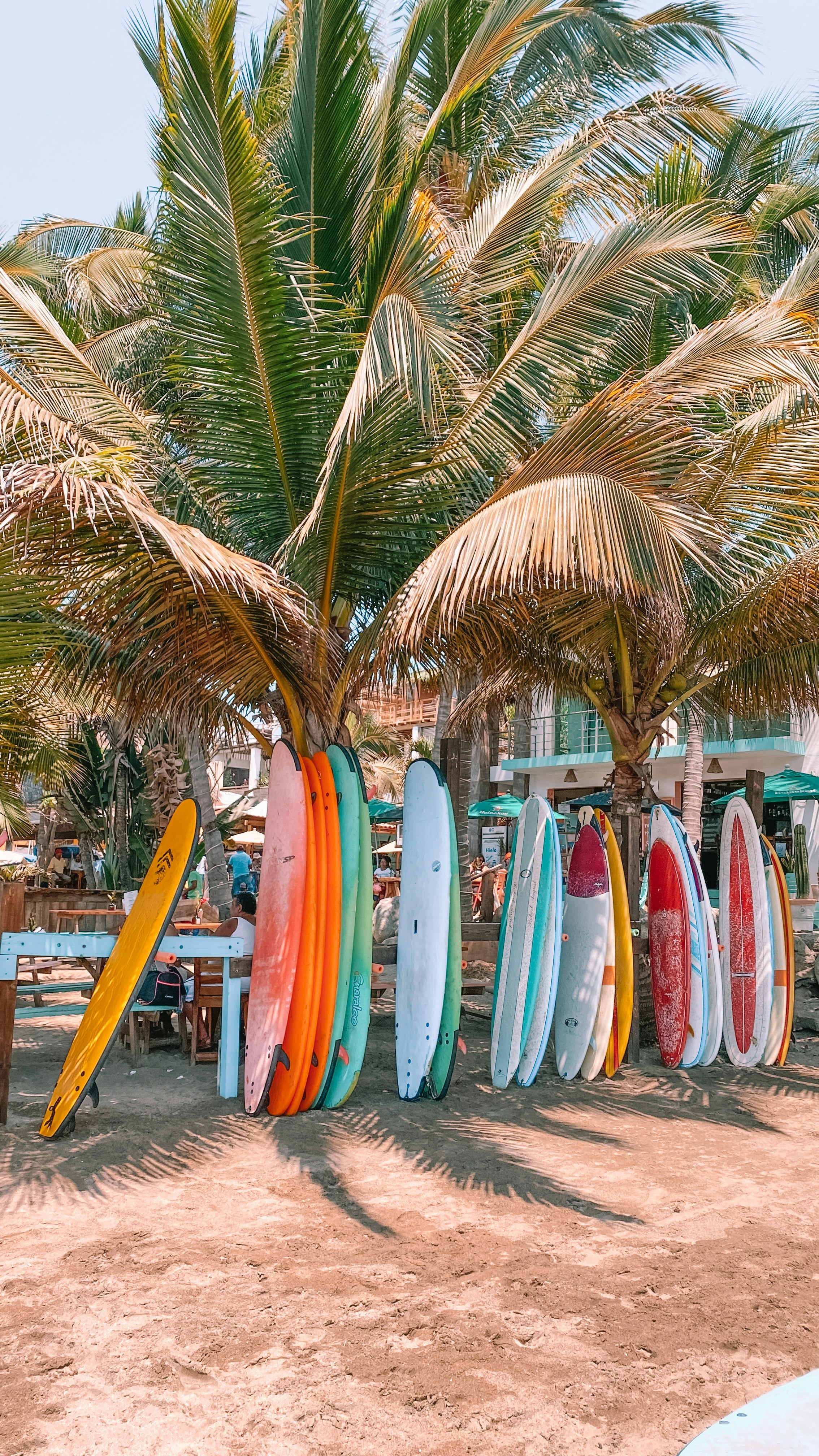 Weekly Longboard Rentals in La Saladita