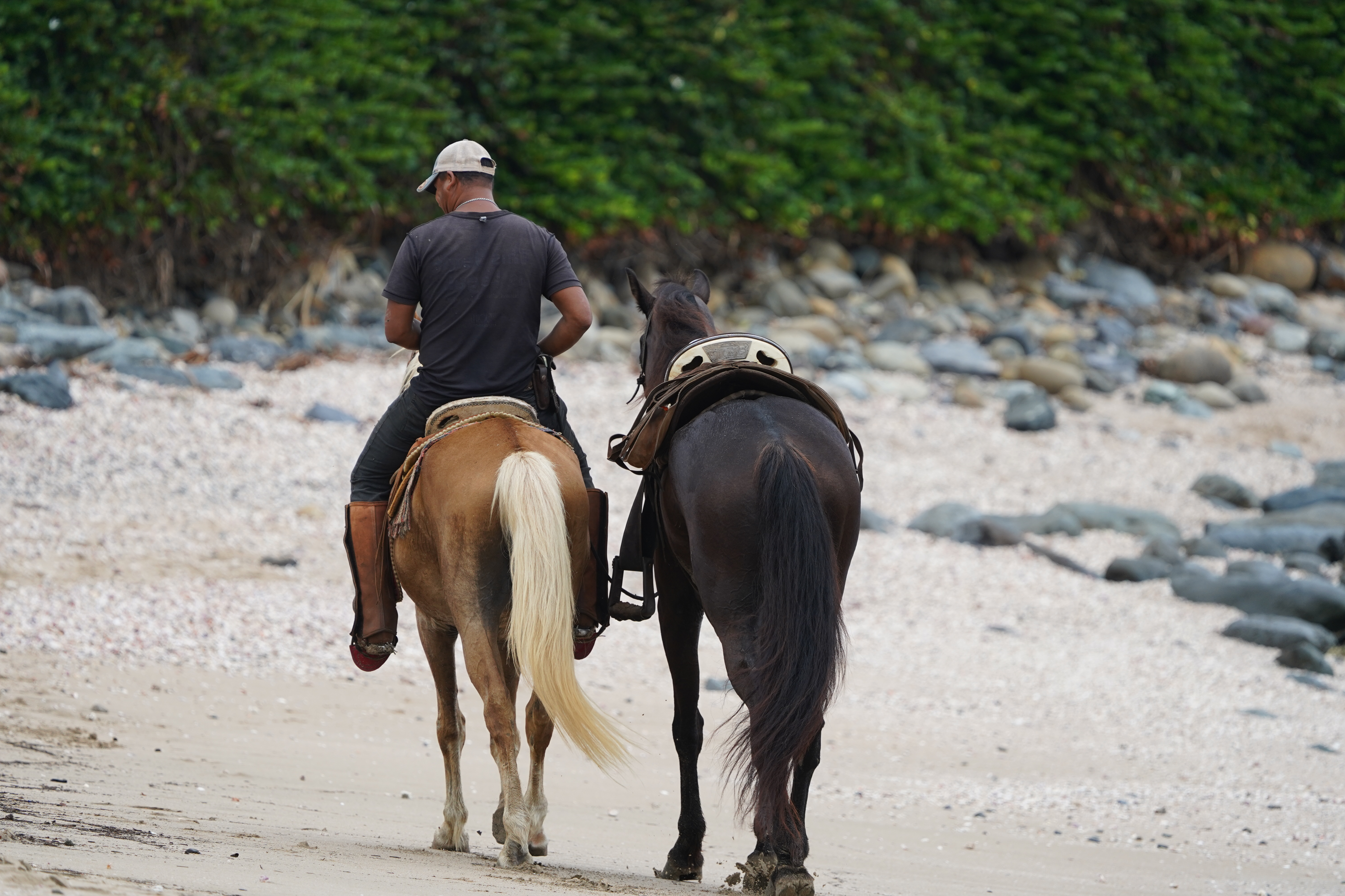 Horseback Riding in La Saladita – Explore the Beach
