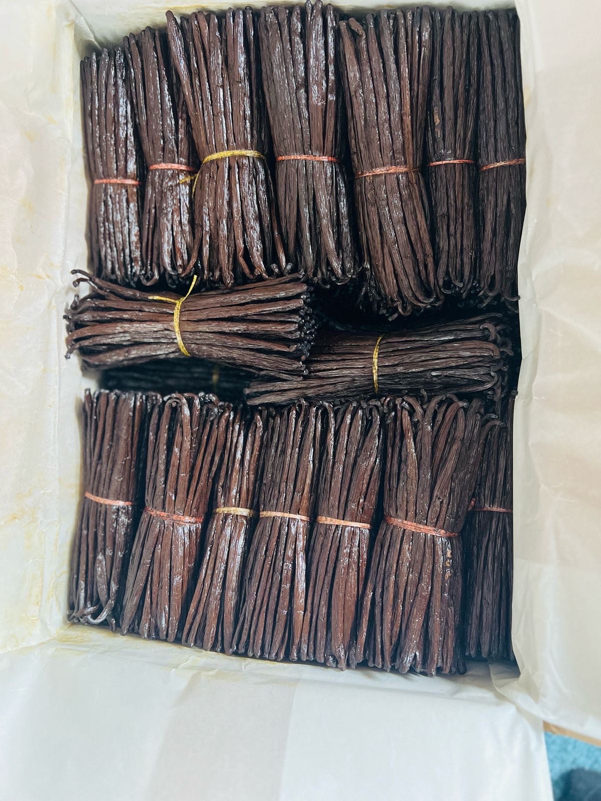 Gousses de vanille