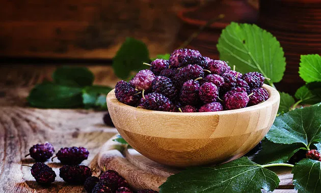 Mulberries (180g)