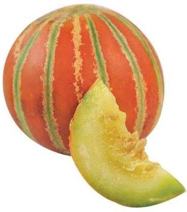 Striped Melon(Delhi melon 1kg)