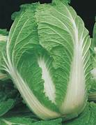Chinese cabbage(1pc)