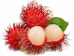 Fresh Rambutan Fruit