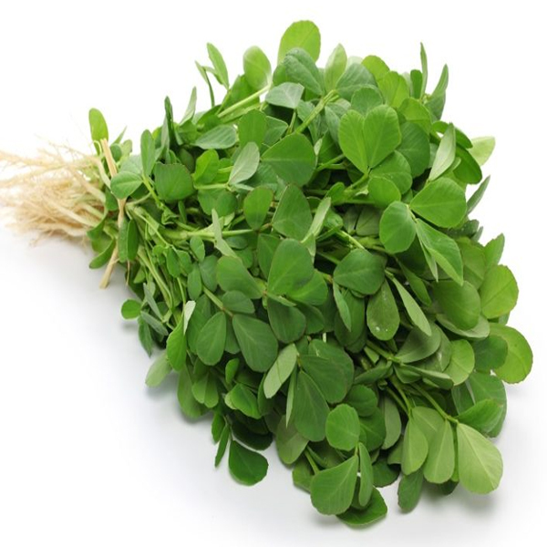 Fresh Fenugreek Leaves(methi)