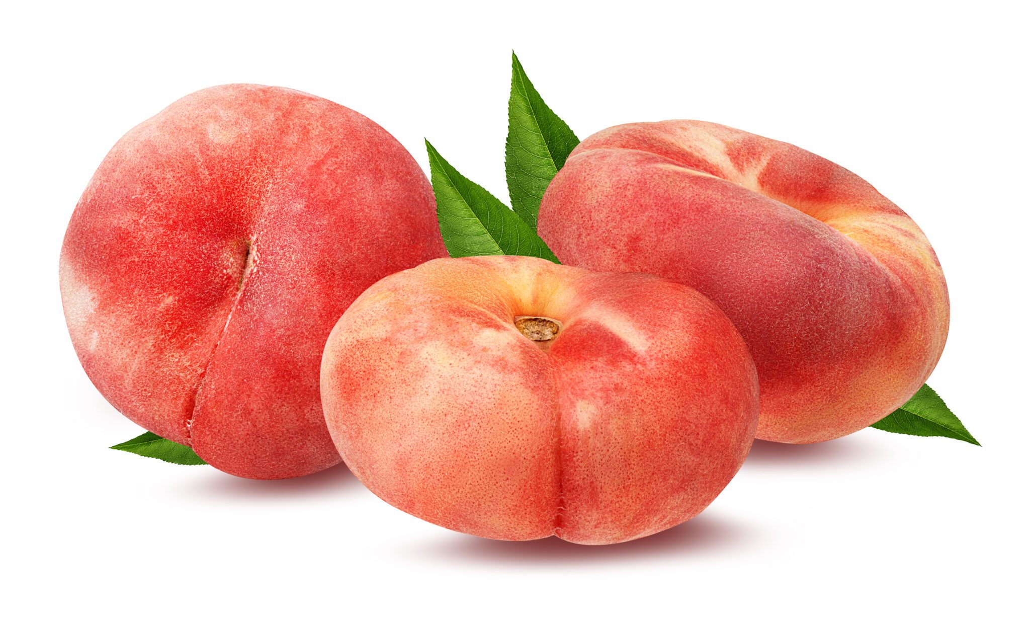 Doughnut  peach