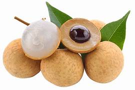 Fresh Longan Fruit