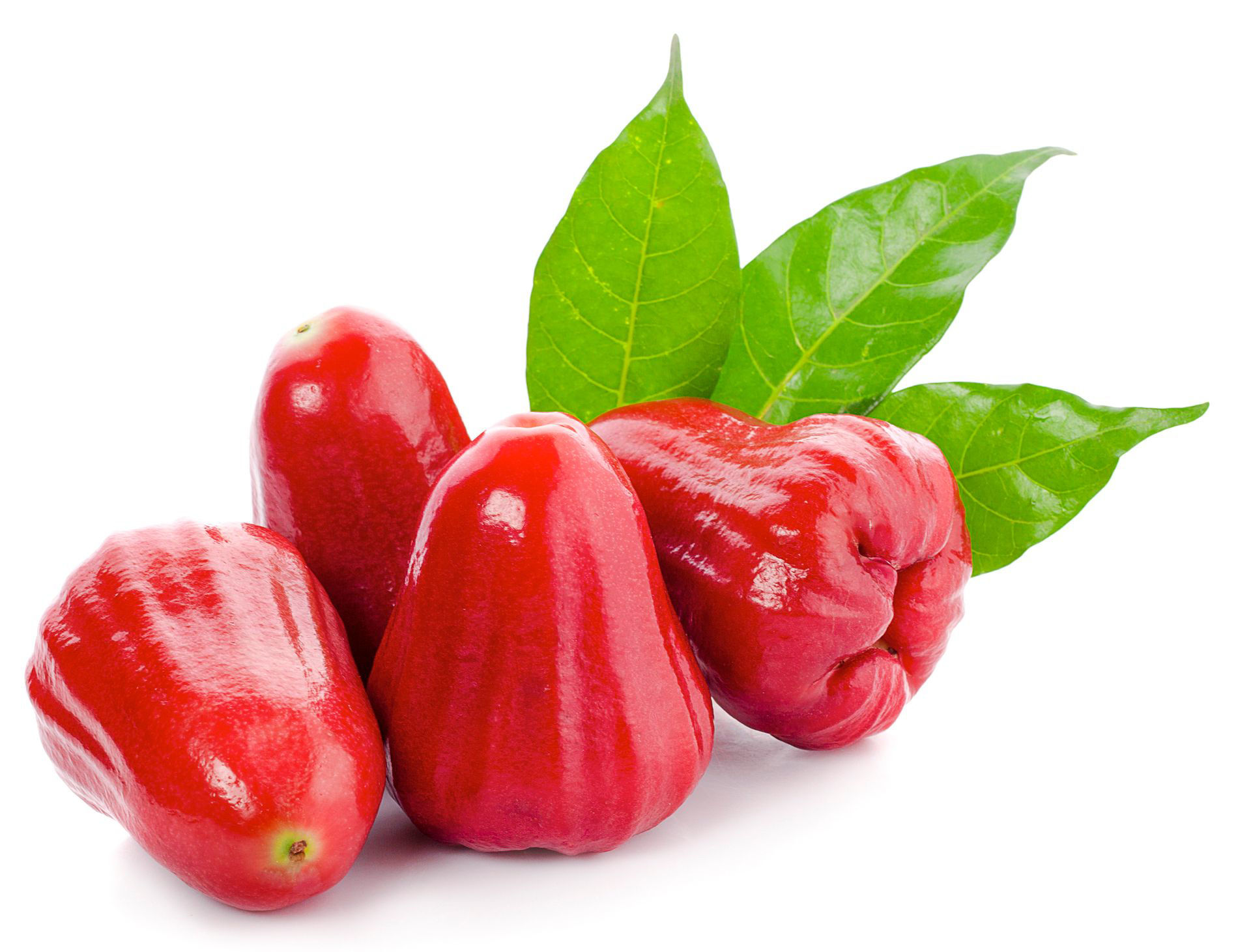 Rose Apple