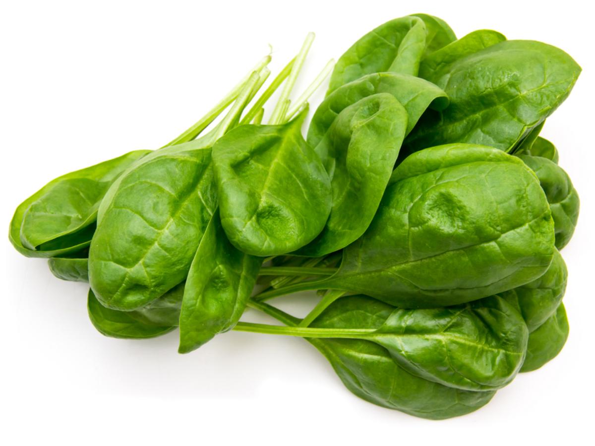 Fresh Spinach Leaves