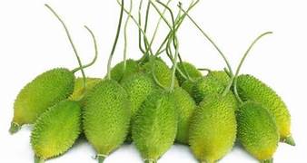 Ivy Gourd(bhat kerela)