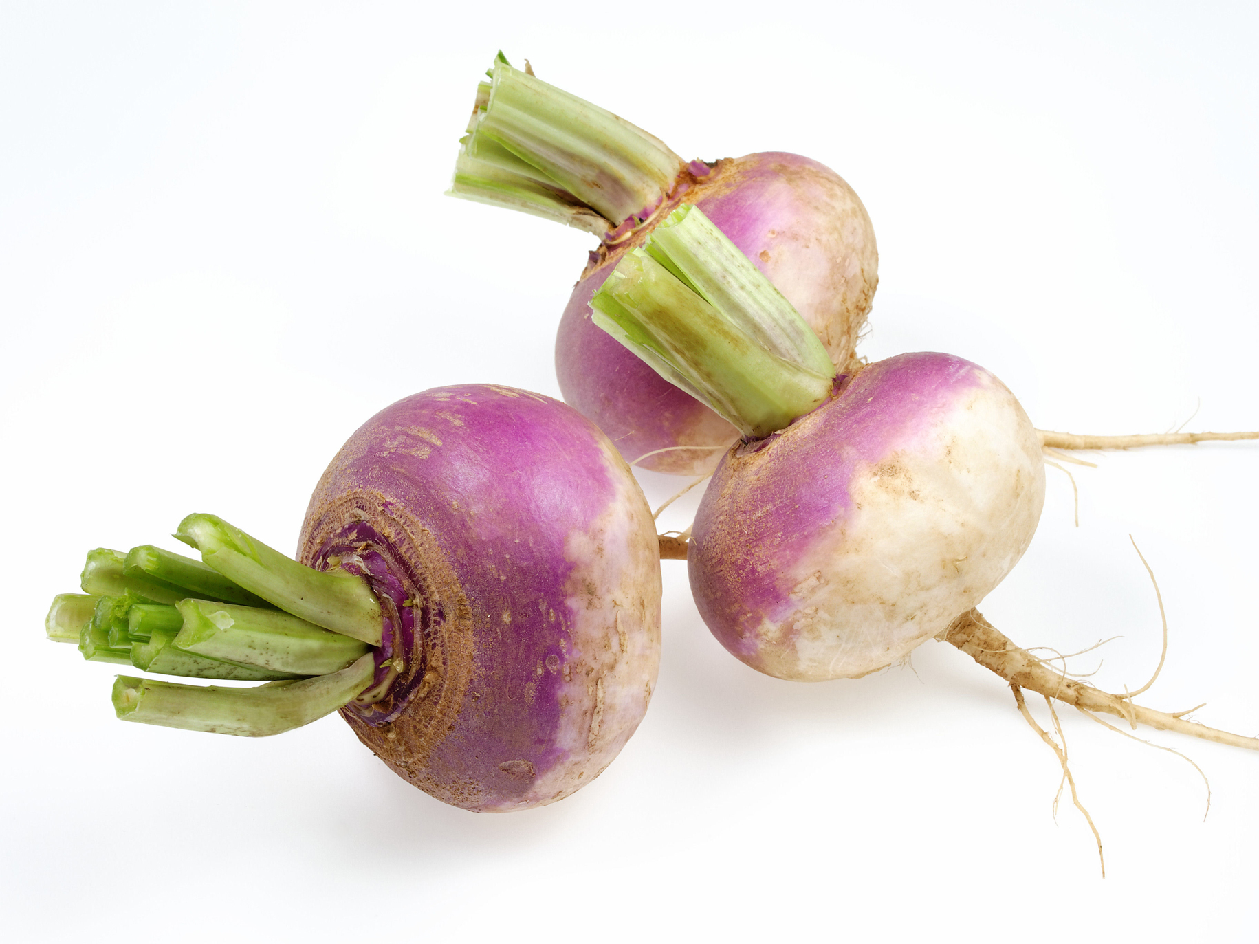 Fresh Turnips
