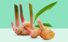 Fresh Galangal Root