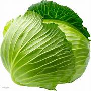 Green Cabbage