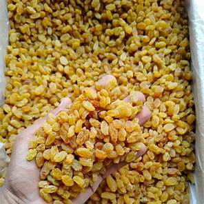 Golden Raisins (kishmis)