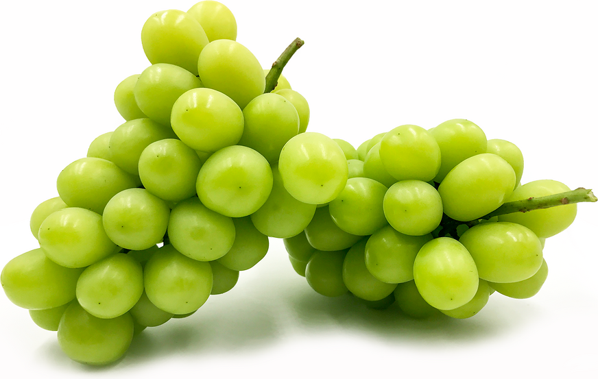 Shine muscat grapes
