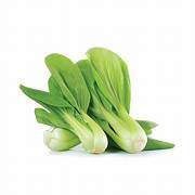 Fresh Bok Choy