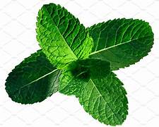 Mint Leaves