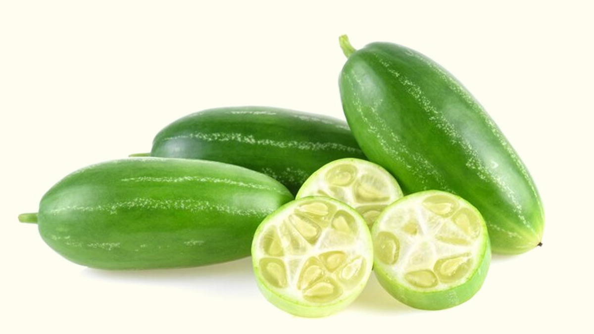 kundali gourd