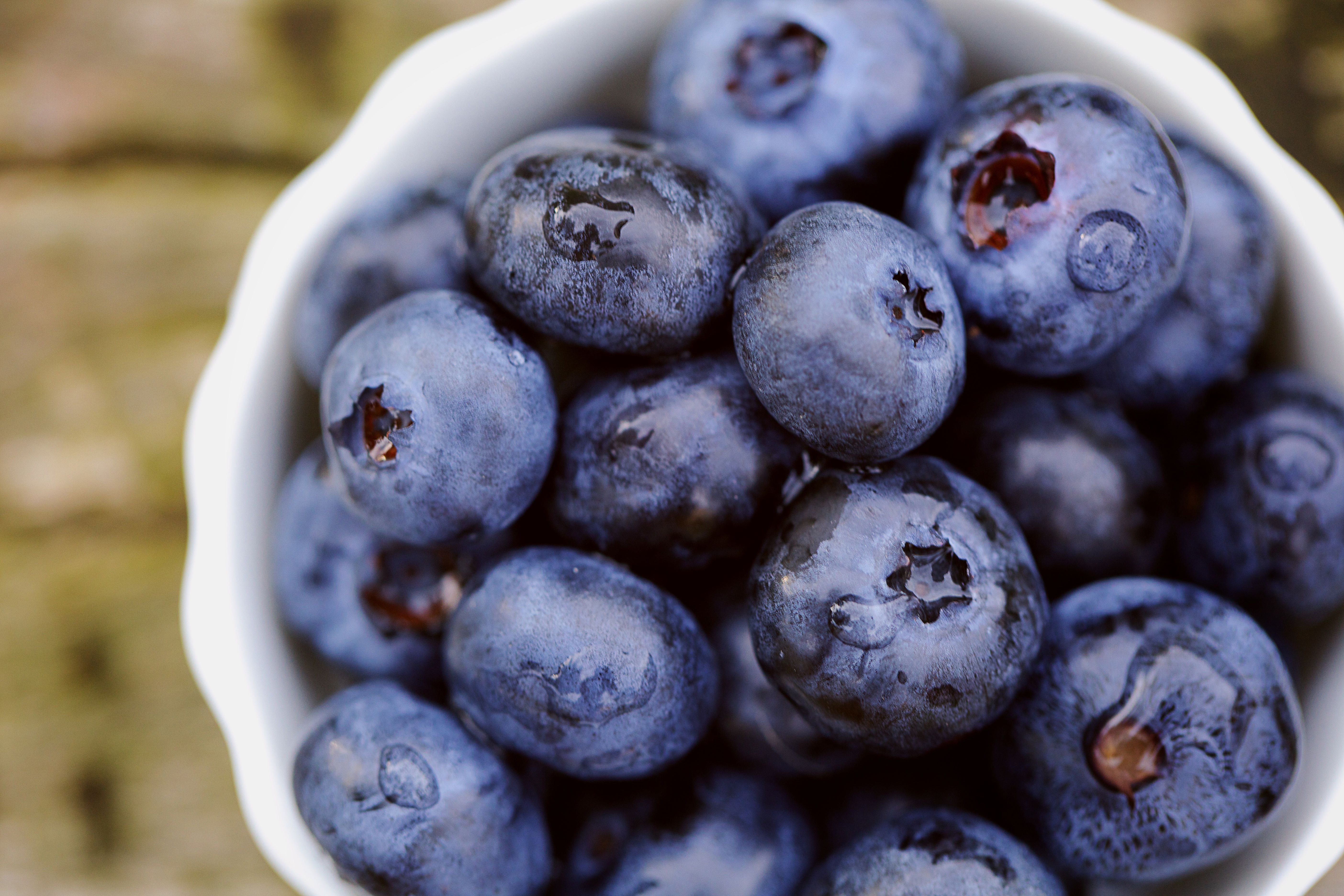 Indian Blueberries