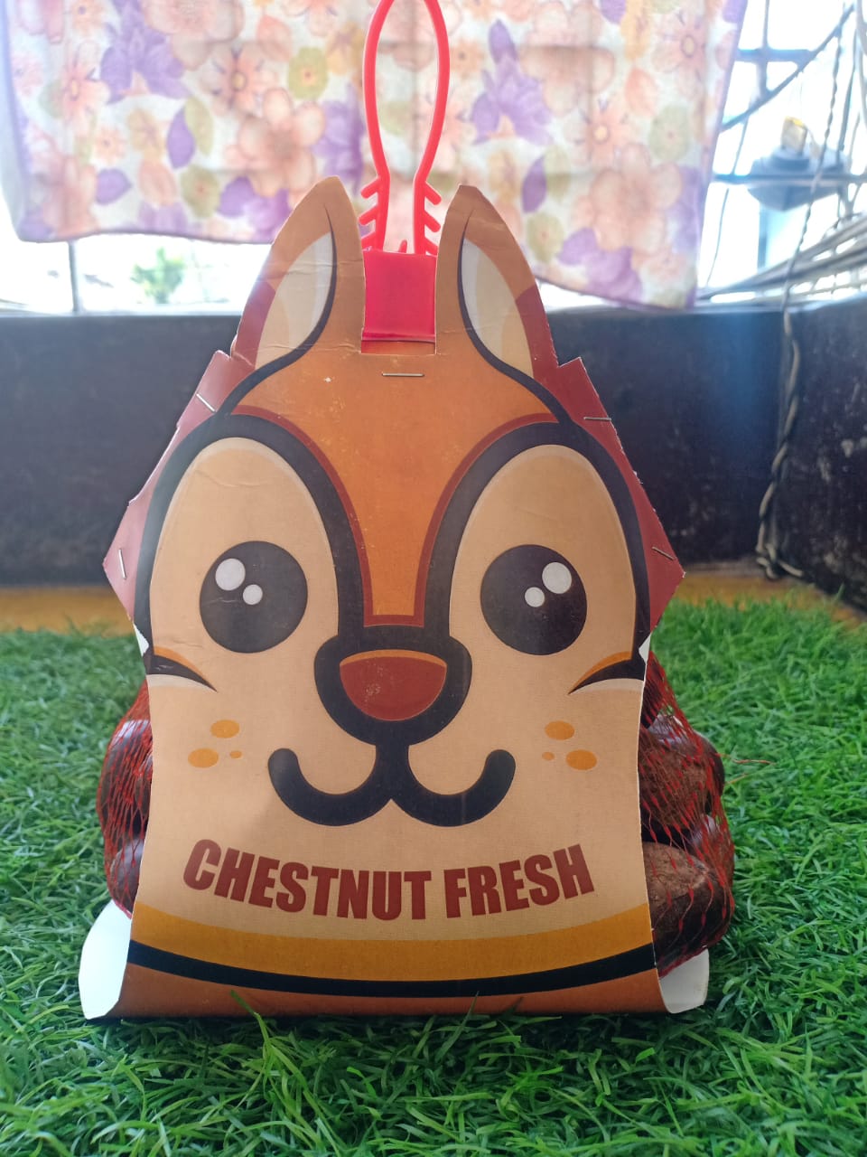Chestnut Fresh