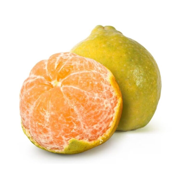 Nagpur orange(6pc)
