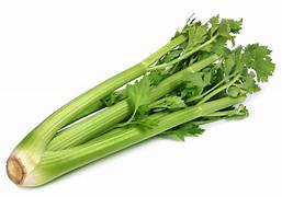  Celery Stalk