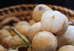 Fresh Longkong Fruit