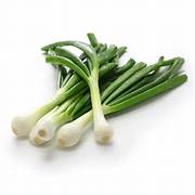 Fresh Spring Onions