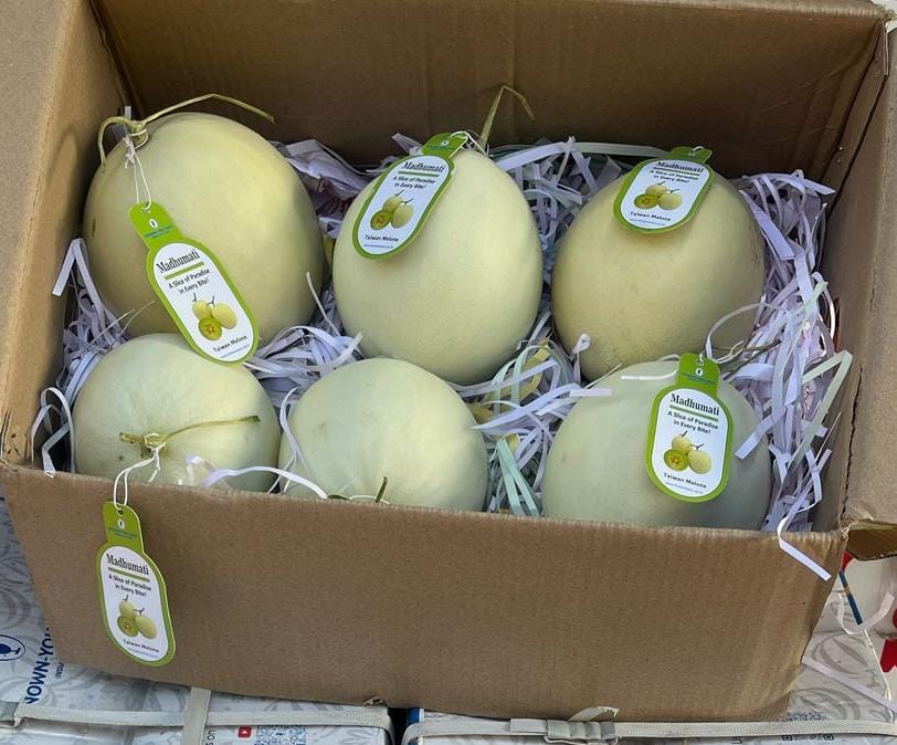 Honeydew Melon(Madhumoti)