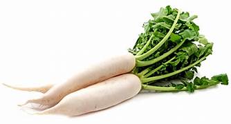 Daikon Radish