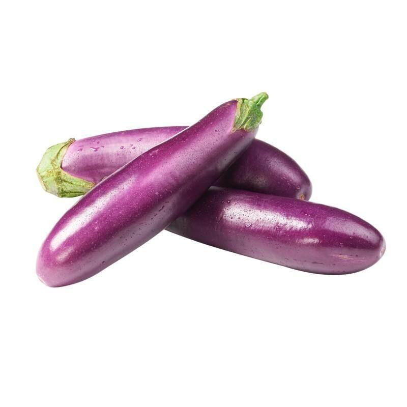 Long purple brinjal