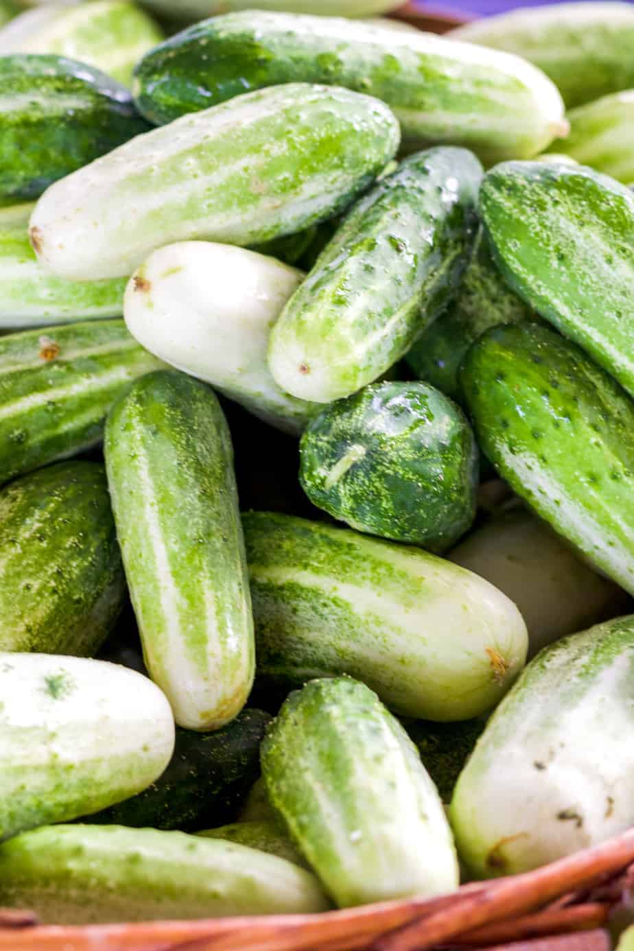 Fresh Cucumber(local 1000g)