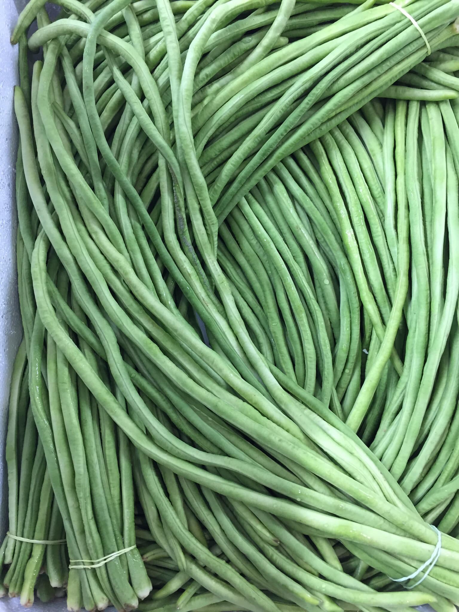 Long beans(barbati)