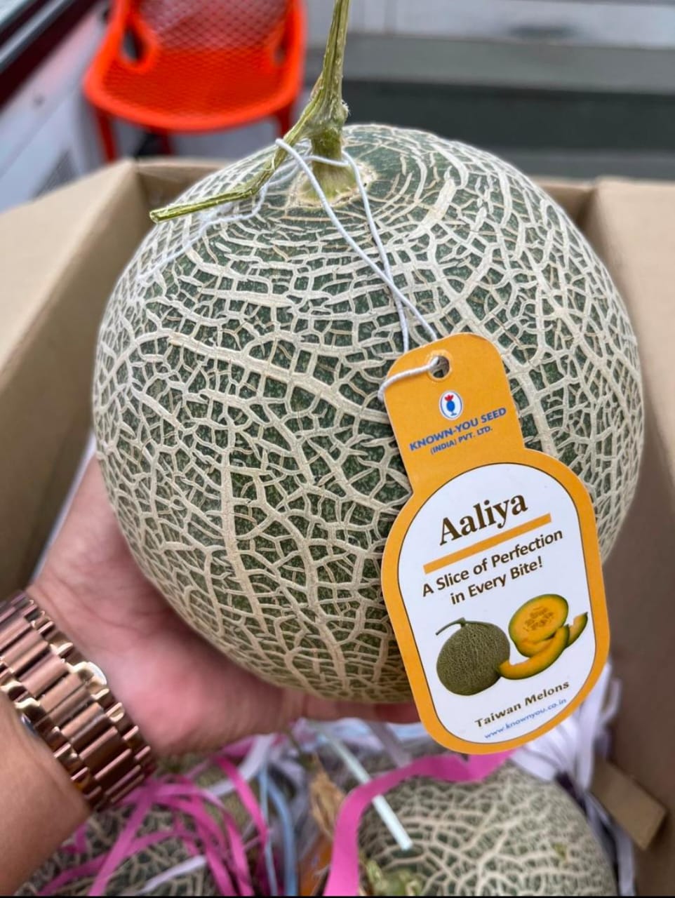 Aaliya Taiwan Melon