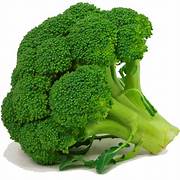 Fresh Broccoli