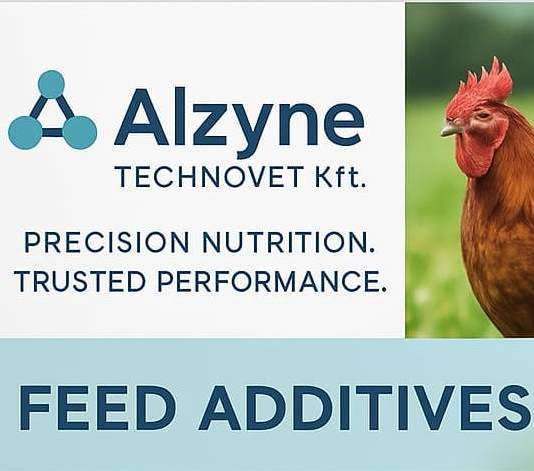 Choline chloride 70% Liquid