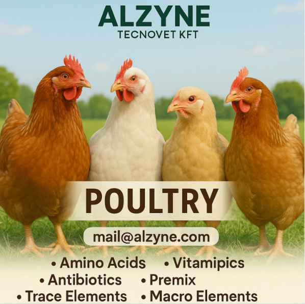 Folic Acid / Vitamin B9Vitamins