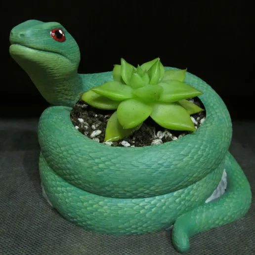 Plante serpent 