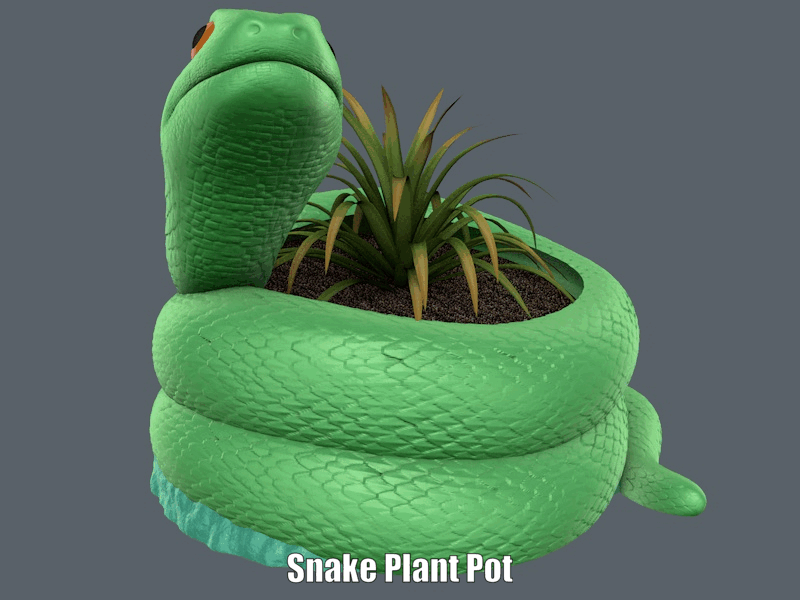 Plante serpent