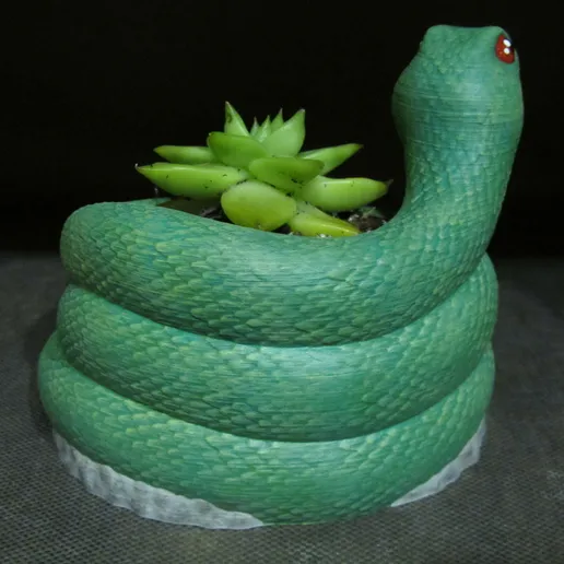 Plante serpent 
