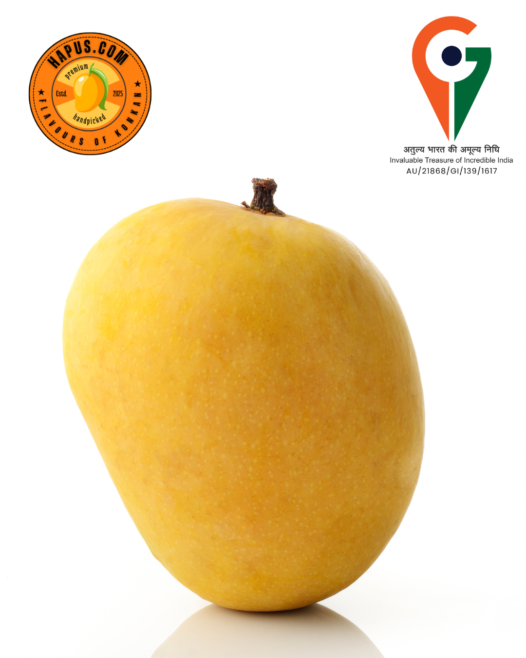 Ratnagiri Alphonso Mango