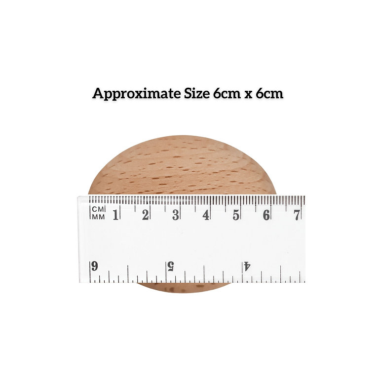 'Pioneer School 2025' Wooden Pebble Gift