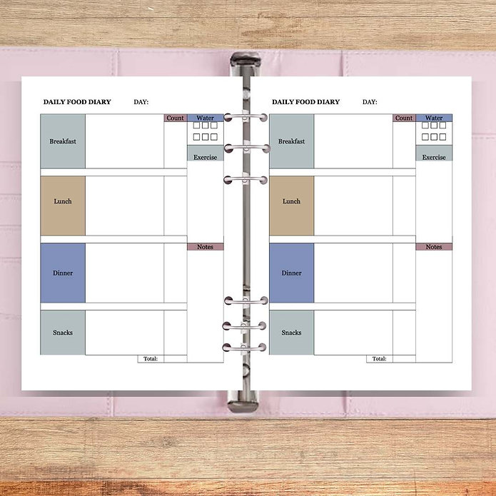 A5 Daily Food Diary Planner Page Inserts (Winter Colour)
