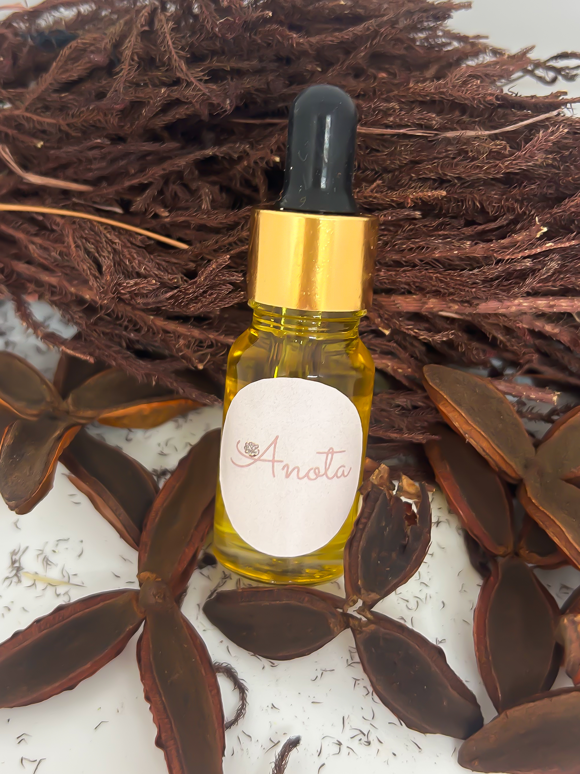 Essência 10ml Raizes & Cedro 