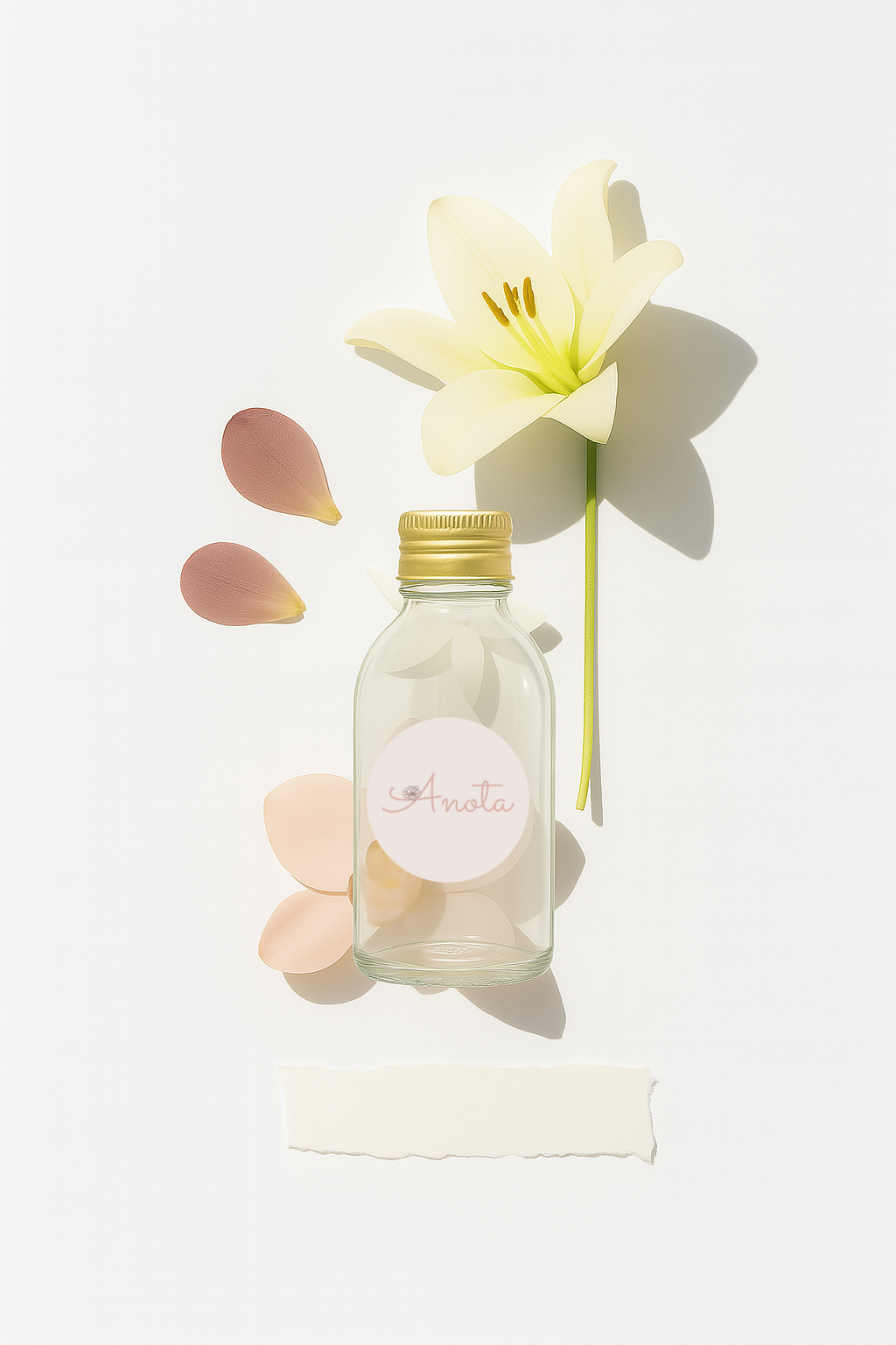 Refil 200ml Orquídea & Jasmim