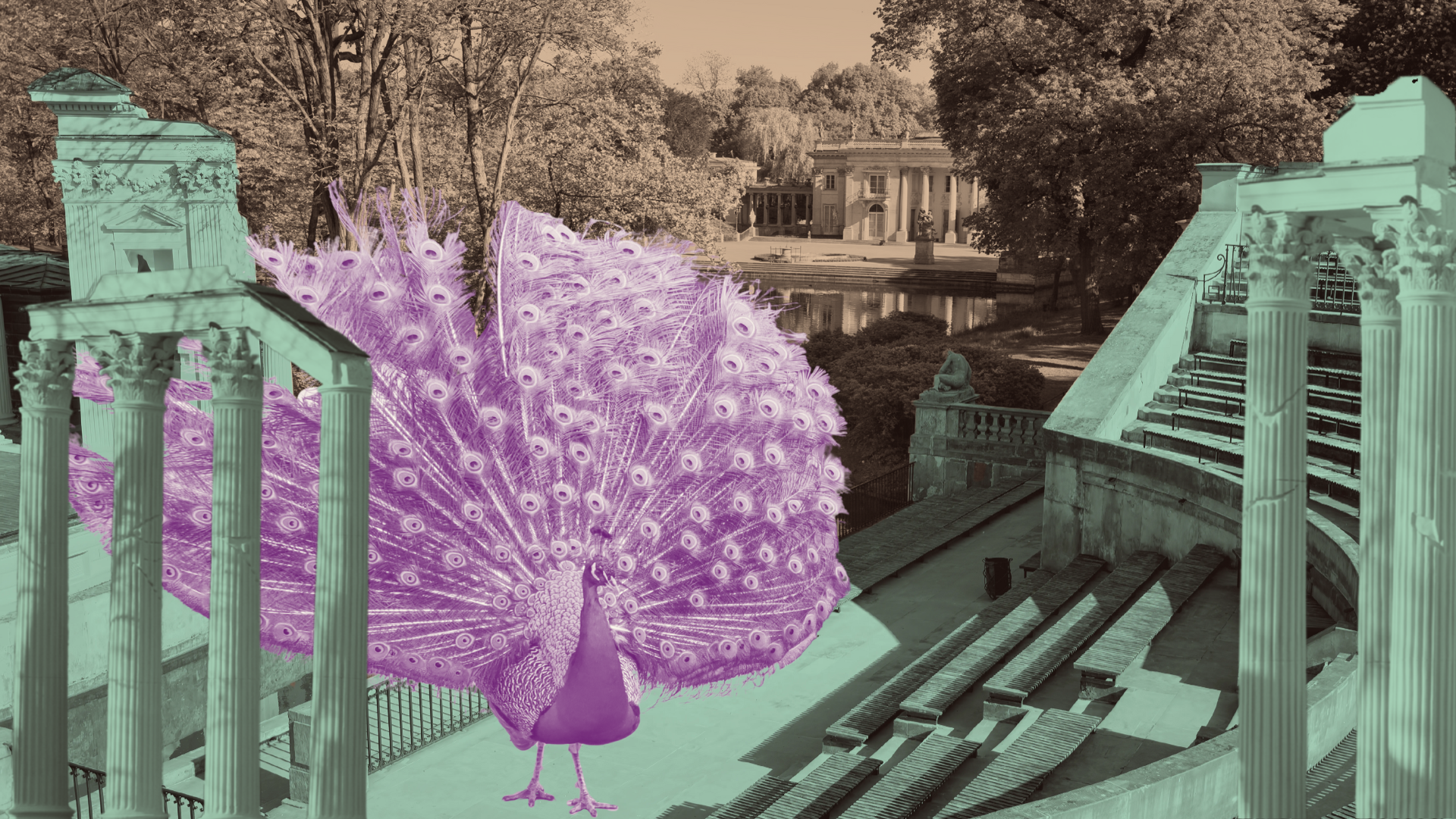 Warsaw: Royal Łazienki Park Private Guided Tour & Tickets