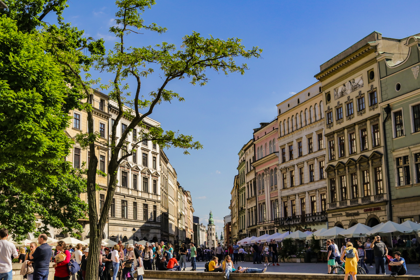 Kraków: Old Town Private Guided Tour & Basilica Entry