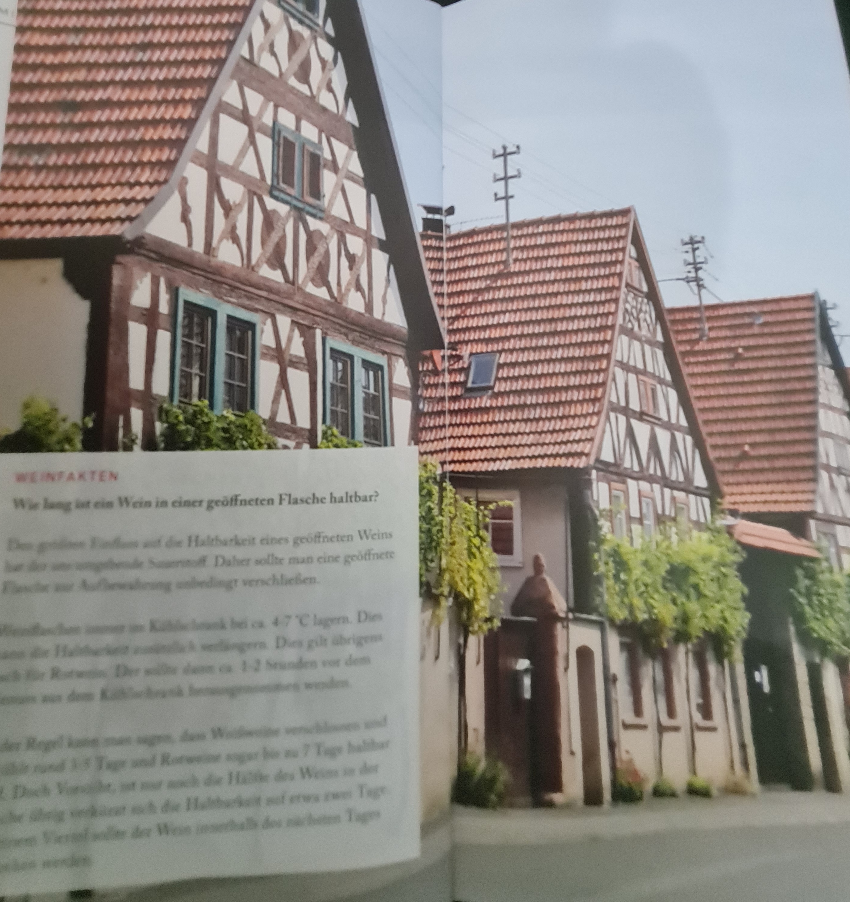 diverse Frankenweine vom Winzerkeller Stetten