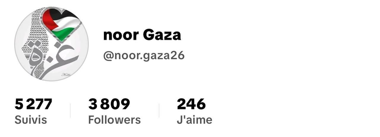 noor Gaza TikTok Account