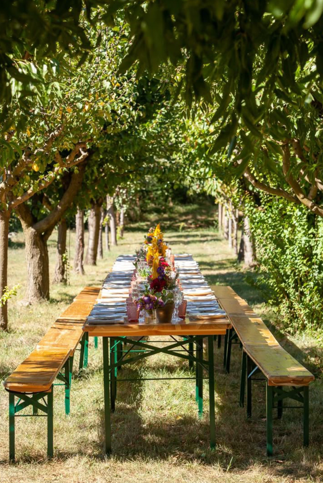 Table & Banc guinguette