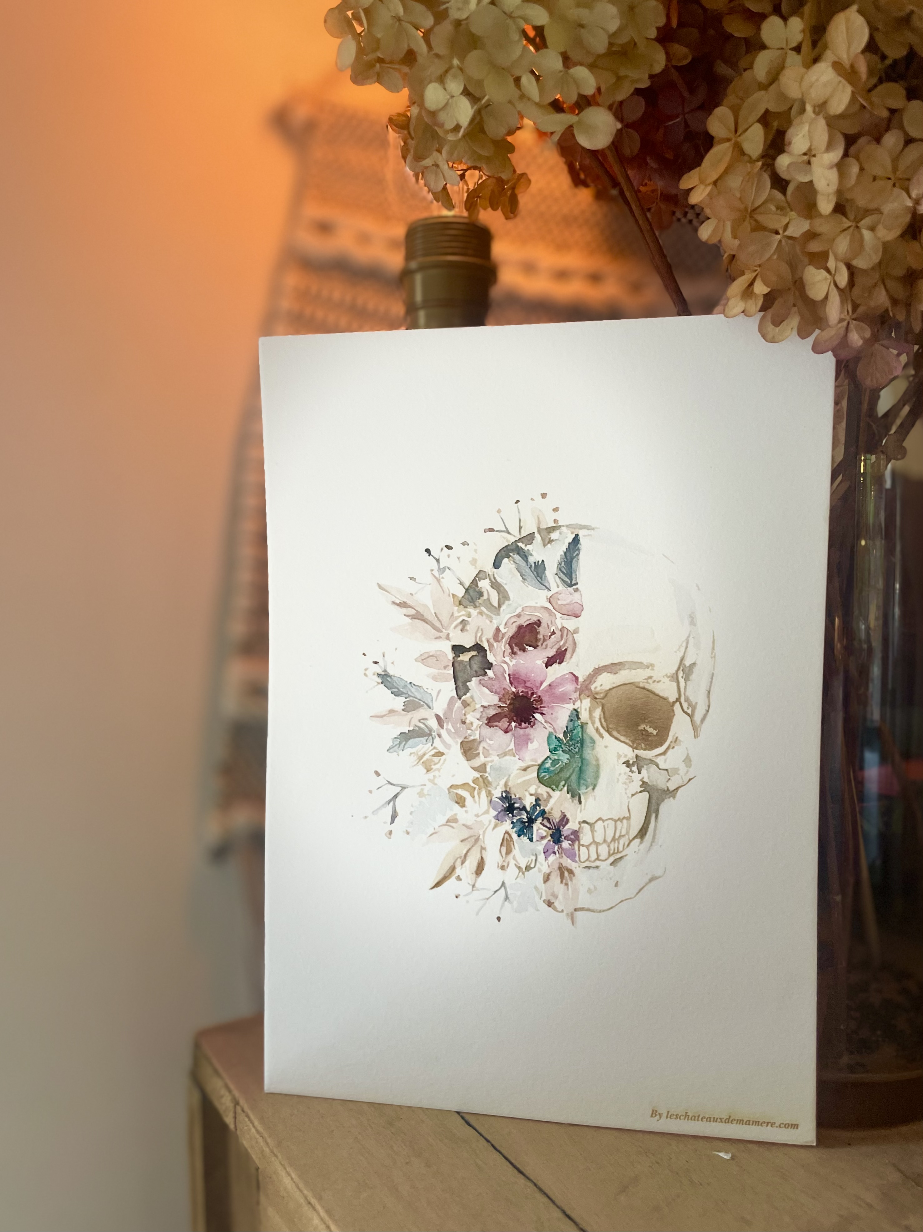 Aquarelles sur papier gravé